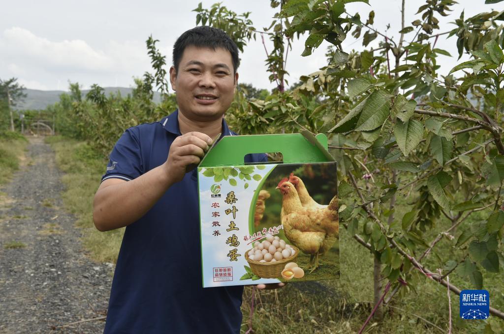 永利游戏误乐